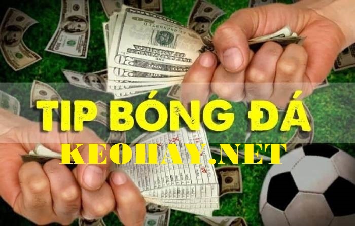 Tip kèo bóng đá hôm nay ngày 01/12/2023