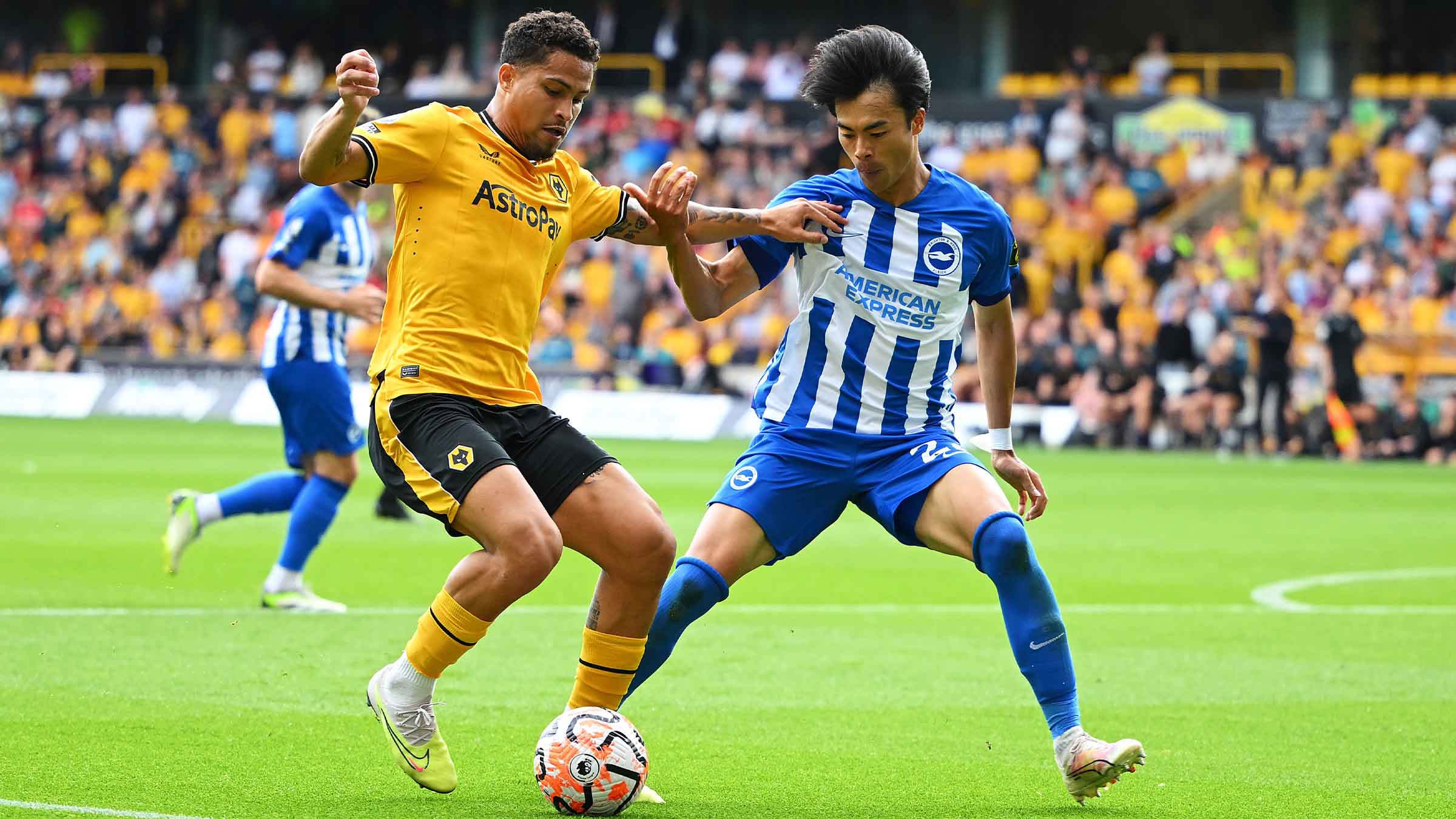 Brighton vs Wolves – Soi kèo nhà cái bóng đá 02h45 ngày 23/01/2024 – Ngoại Hạng Anh