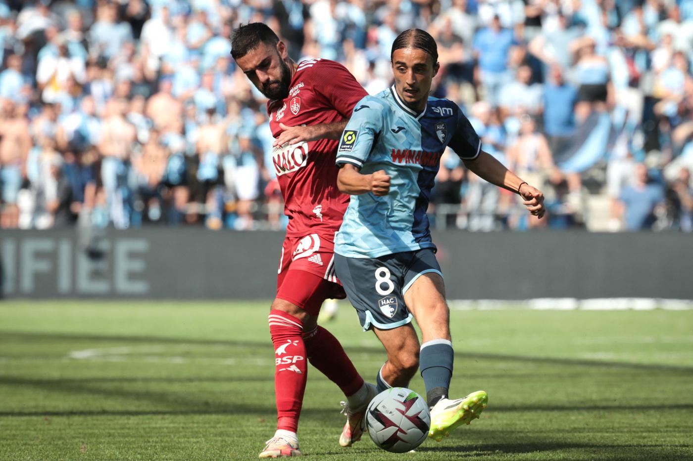 Le Havre vs Stade Brestois – Soi kèo nhà cái bóng đá 21h00 ngày 26/01/2025 – VĐQG Pháp